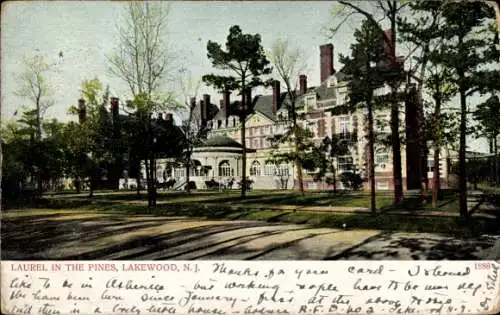 Ak Lakewood New Jersey USA, Laurel in den Kiefern