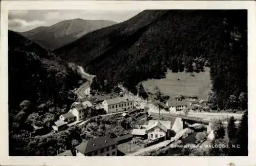 Ak Waldegg in Niederösterreich, Panorama