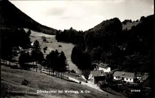 Ak Waldegg in Niederösterreich, Dürnbachtal