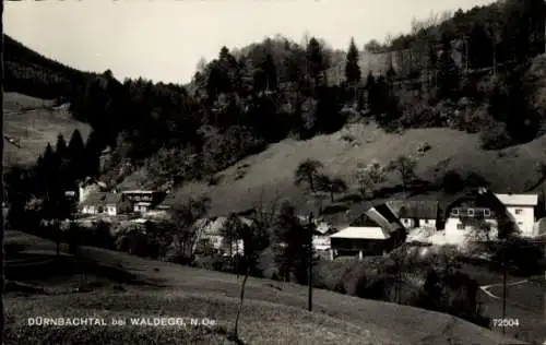 Ak Waldegg in Niederösterreich, Dürnbachtal, Panorama