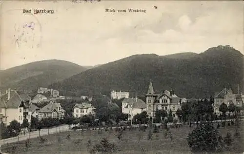 Ak Bad Harzburg am Harz, Blick vom Westring, Teilansicht