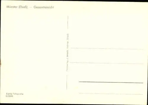 Ak Munster Münster Elsass Haut Rhin, Gesamtansicht