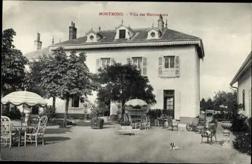 Ak Boisset les Montrond Loire, Villa des Marronnsiers, Terrasse