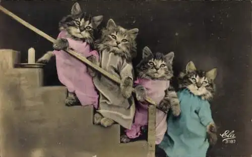Ak Gekleidete junge Katzen, Vermenschlichte Hauskatzen