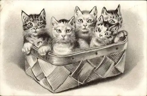 Ak Junge Katzen im Korb