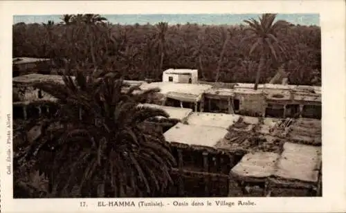 Ak El Hamma, Oasis dans le Village Arabe