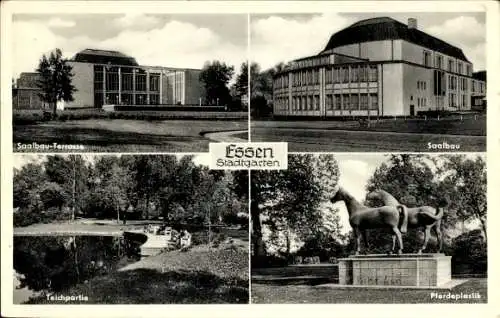 Ak Essen im Ruhrgebiet, Stadtgarten, Saalbau, Saalbau-Terrasse, Teich, Pferdeplastik