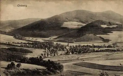 Ak Olsberg im Sauerland, Panorama, Ohlenberg
