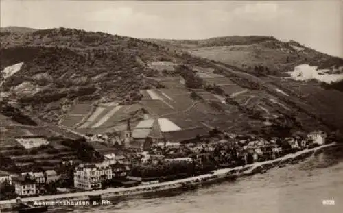 Ak Assmannshausen Rüdesheim am Rhein, Panorama