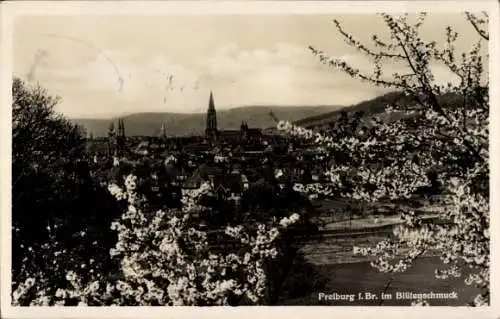 Ak Freiburg im Breisgau, Gesamtansicht im Blütenschmuck