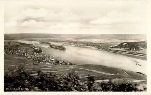 Ak Rüdesheim am Rhein, Panorama