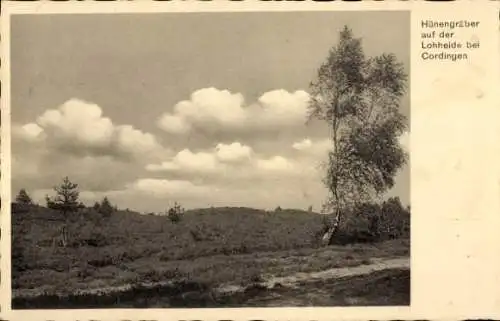 Ak Cordingen Walsrode in der Lüneburger Heide, Hünengräber auf der Lohheide