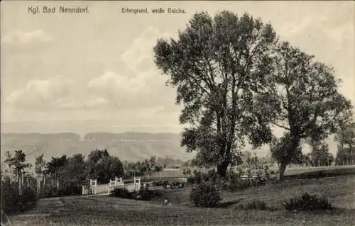 Ak Bad Nenndorf an der Weser, Erlengrund, weiße Brücke