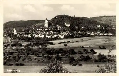 Ak Herrenberg in Württemberg, Gesamtansicht