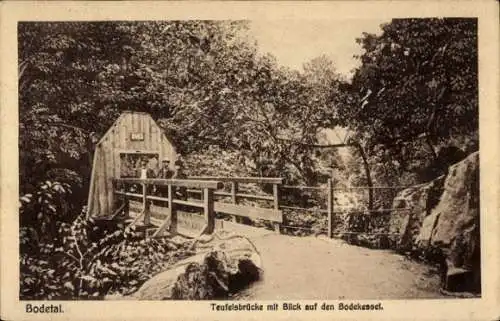 Ak Thale im Harz, Bodetal, Teufelsbrücke, Bodekessel