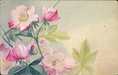 Handgemalt Ak Rosa Blüten, Blumen