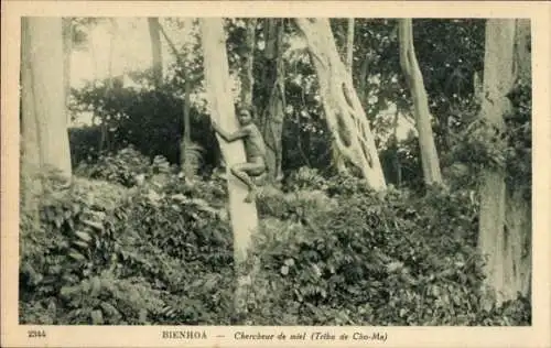 Ak Biên Hòa Vietnam, Honigsucher