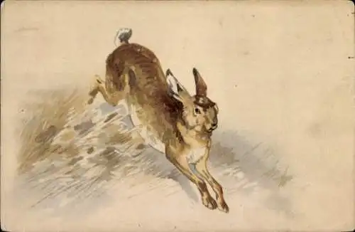 Litho Brauner Hase, Wiese