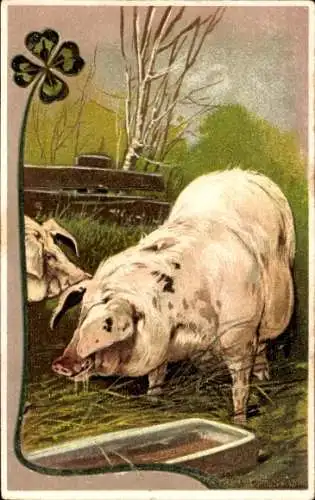 Präge Ak Schweine, Klee