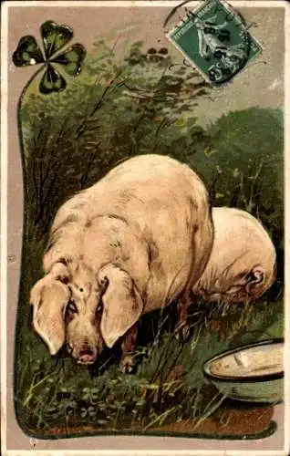 Präge Litho Schweine auf einer Wiese, Kleeblatt