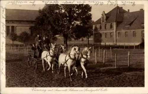 Ak Celle in Niedersachsen, Viererzug mit Amurath Söhnen im Landgestüt