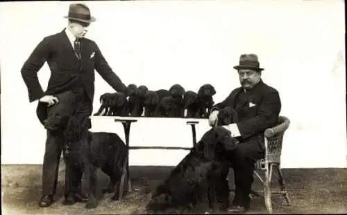 Foto Ak Zwei Männer mit zwei Hunden, Hundewelpen auf einem Tisch