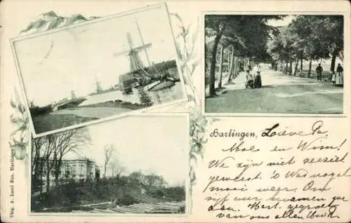 Ak Harlingen Fryslân Niederlande, Allee, Windmühle