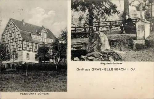 Ak Grasellenbach im Odenwald, Pensionat Dörsam, Siegfried-Brunnen