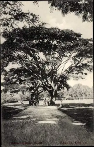 Ak Badulla Sri Lanka, Rennstrecke Straße