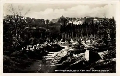 Ak Szklarska Poręba Schreiberhau Riesengebirge Schlesien, Schneegruben, Kochelfallweg