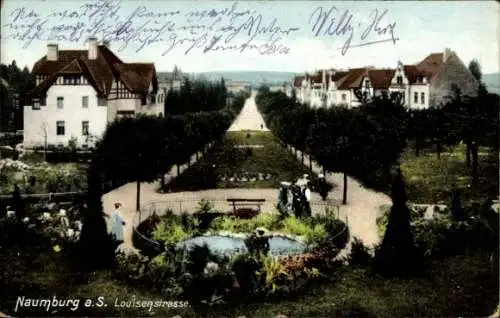 Ak Naumburg an der Saale, Louisenstraße, Wohnhäuser und Parkanlagen, Teich