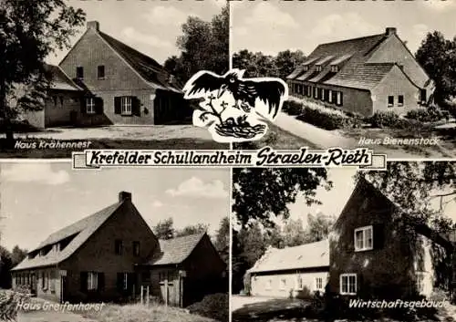 Ak Straelen Rieth, Krefelder Schullandheim, Haus Krähennest, Bienenstock, Greifenhorst