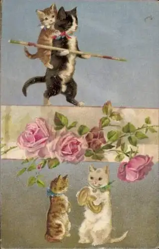 Litho Katzen, Seillauf, Rosen