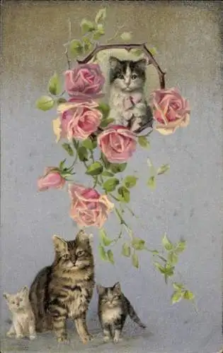 Ak Katzenfamilie, Rosen, Hauskatzen