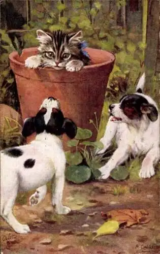 Künstler Ak Cobbs, B., Hundewelpen mit Katzenbaby in einem Blumentopf, Tuck 9537