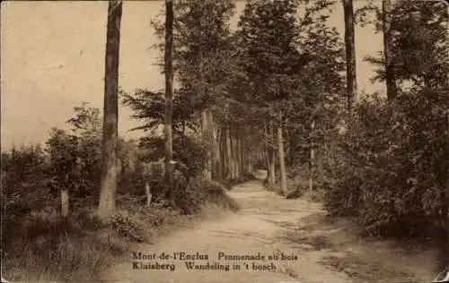 Ak Mont de l'Enclus Wallonien Hennegau, Kluisberg, Promenade au bois