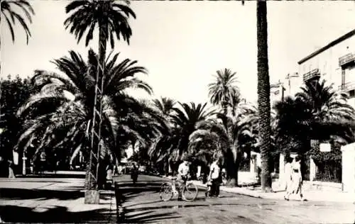 Ak Hyères Var, Avenue de Belgique