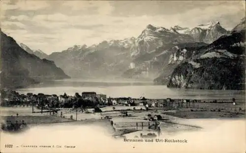 Ak Brunnen Kt Schwyz, Panorama und Urirotstock