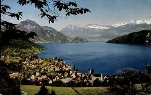 Ak Weggis Kanton Luzern, Panorama mit Alpen