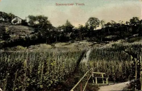 Ak Thal Kanton Sankt Gallen Schweiz, Steinerner Tisch