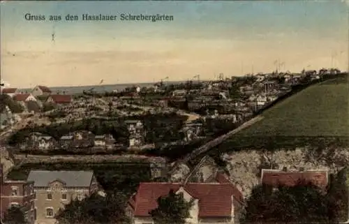 Ak Wilkau Haßlau in Sachsen, Panorama, Hasslauer Schebergärten