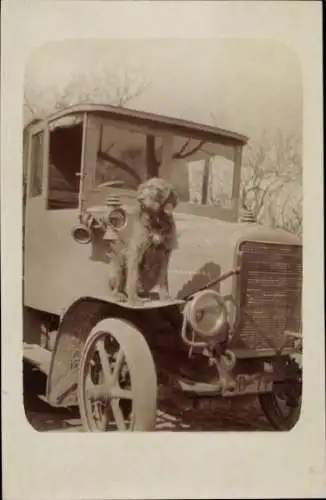Foto Ak Automobil, Hund auf dem Kotflügel sitzend