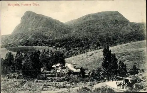 Ak Nuwara Eliya Sri Lanka, Hakgalla