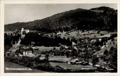 Ak Waidmannsfeld in Niederösterreich, Panorama