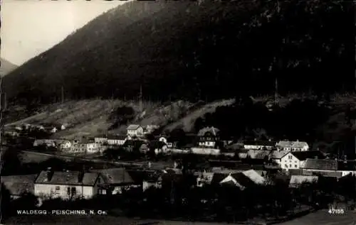 Ak Waldegg in Niederösterreich, Panorama