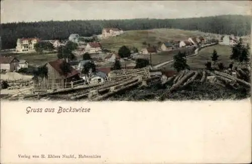 Ak Hahnenklee Bockswiese Goslar im Harz, Gesamtansicht