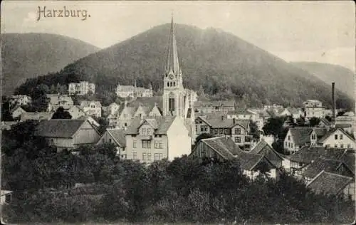 Ak Bad Harzburg am Harz, Gesamtansicht