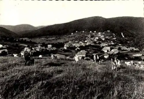 Ak Grendelbruch Elsass Bas Rhin, Gesamtansicht
