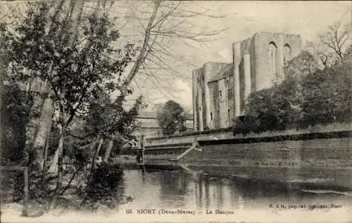 Ak Niort Deux Sèvres, Donjon