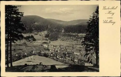 Ak Lautenthal Langelsheim im Oberharz, Blick vom Schulberg